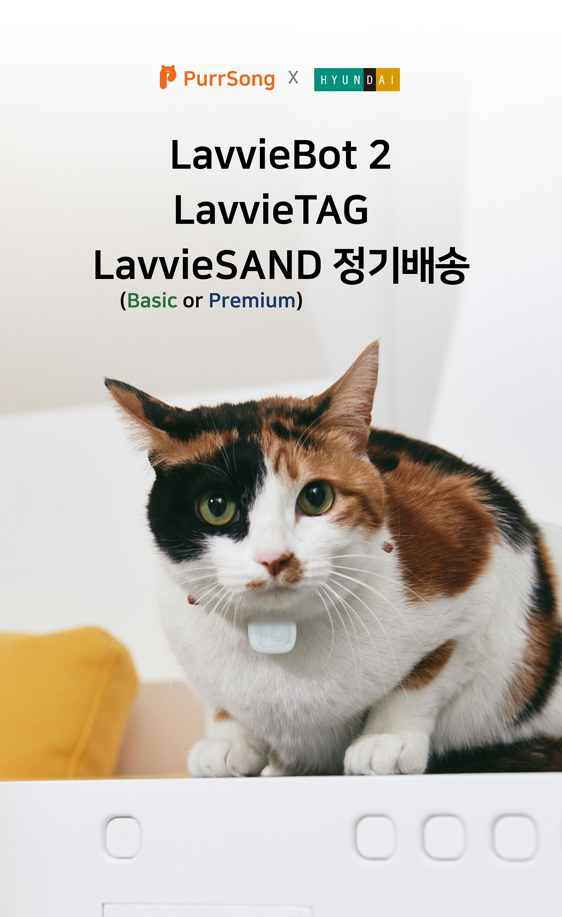 현대큐밍 라비봇 고양이 화장실 (라비태그/단품,일반모래) 이미지 3