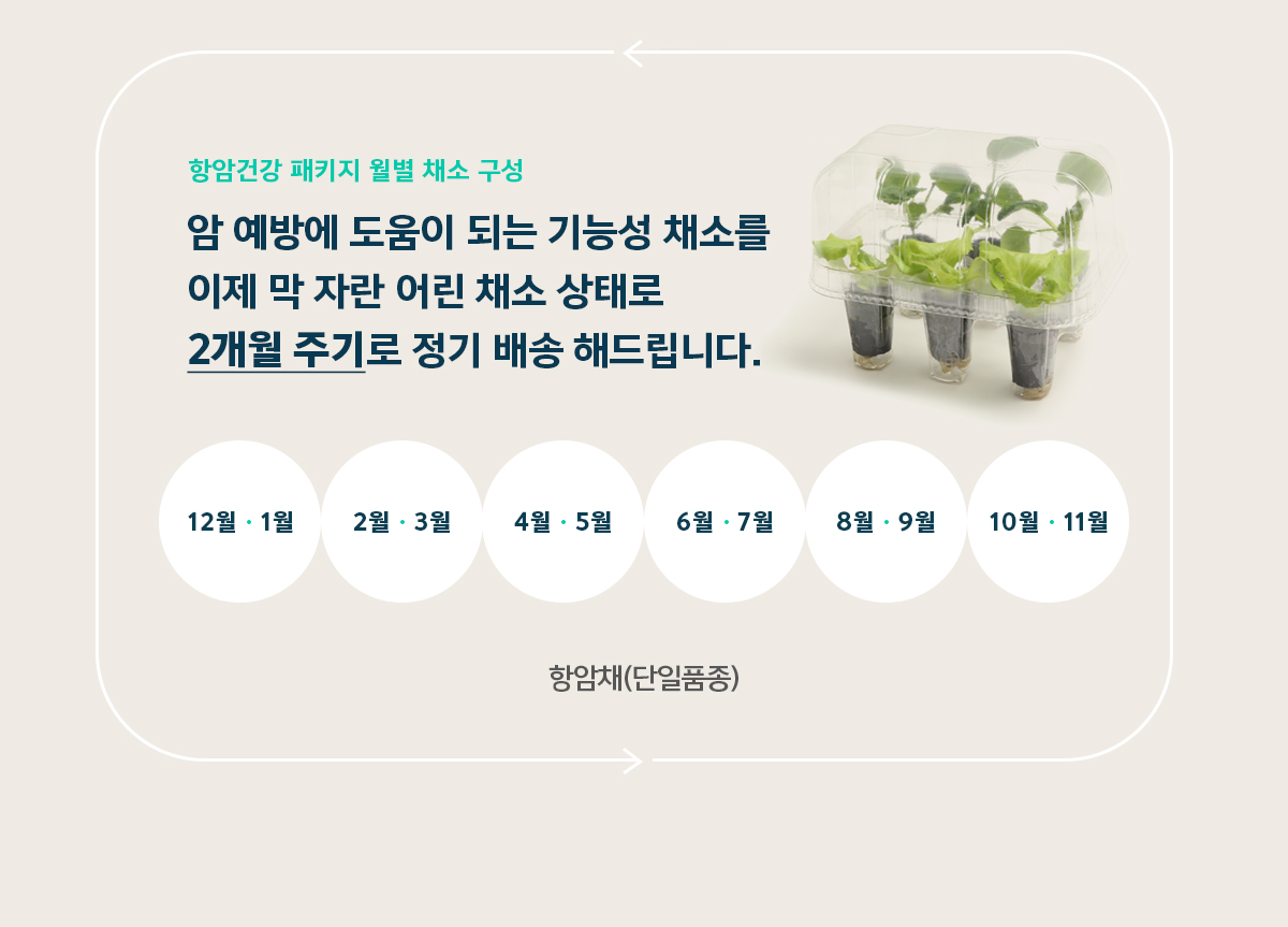 웰스 웰스팜 슬림 항암건강 패키지 (2개월 방문관리) 이미지 4