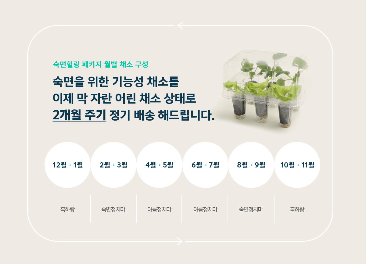 웰스 웰스팜 와이드 숙면 힐링 패키지 (2개월 방문관리) 이미지 4