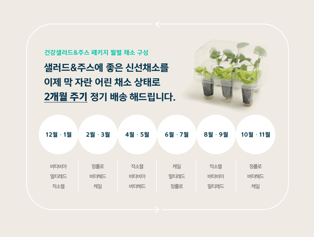 웰스 웰스팜 슬림 건강 샐러드&주스 패키지 (2개월 방문관리) 이미지 4