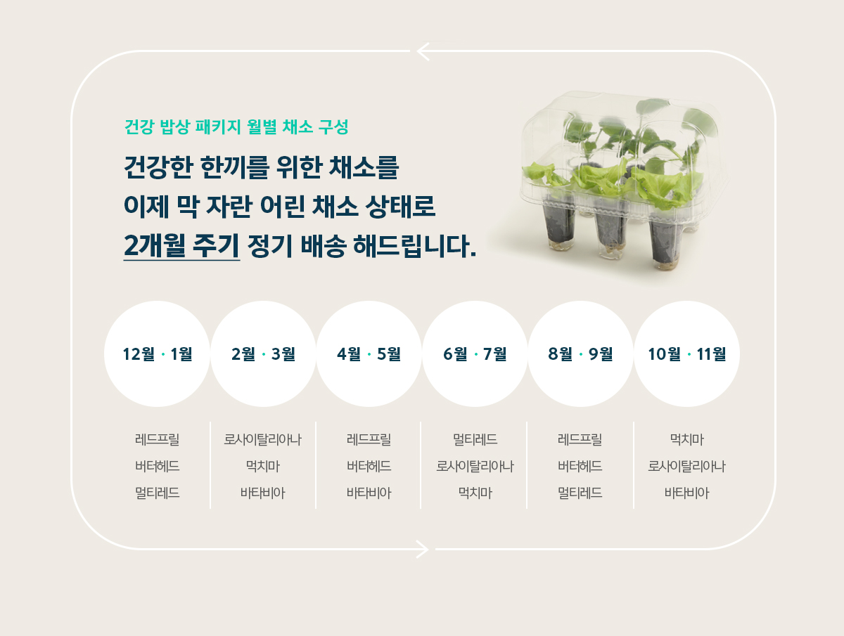 웰스 웰스팜 와이드 건강 밥상 패키지 (2개월 방문관리) 이미지 4