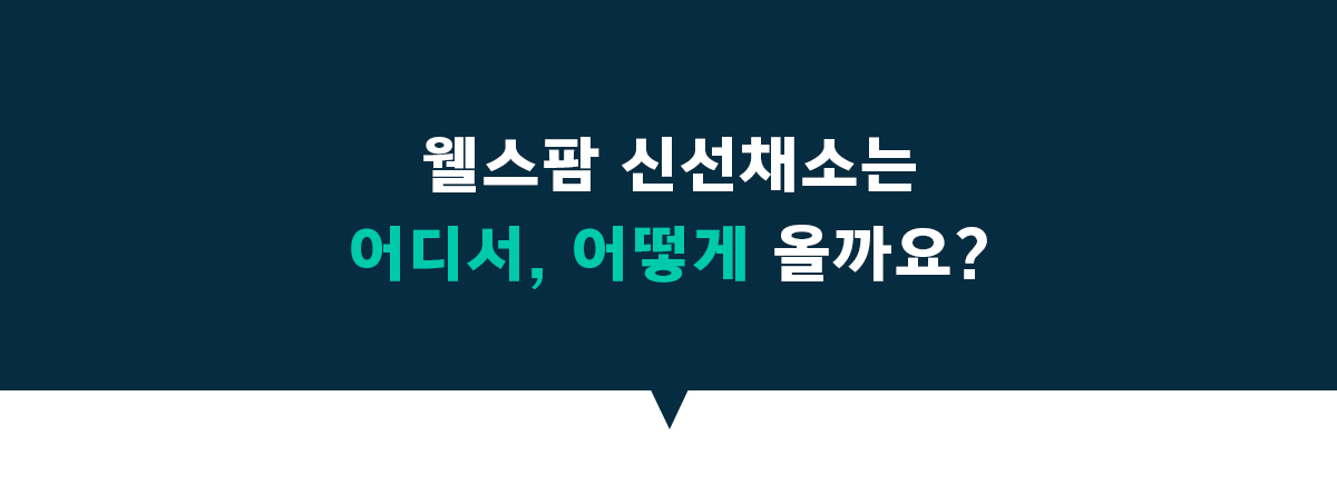 웰스 웰스팜 와이드 건강 샐러드&주스 패키지 (2개월 방문관리) 이미지 5