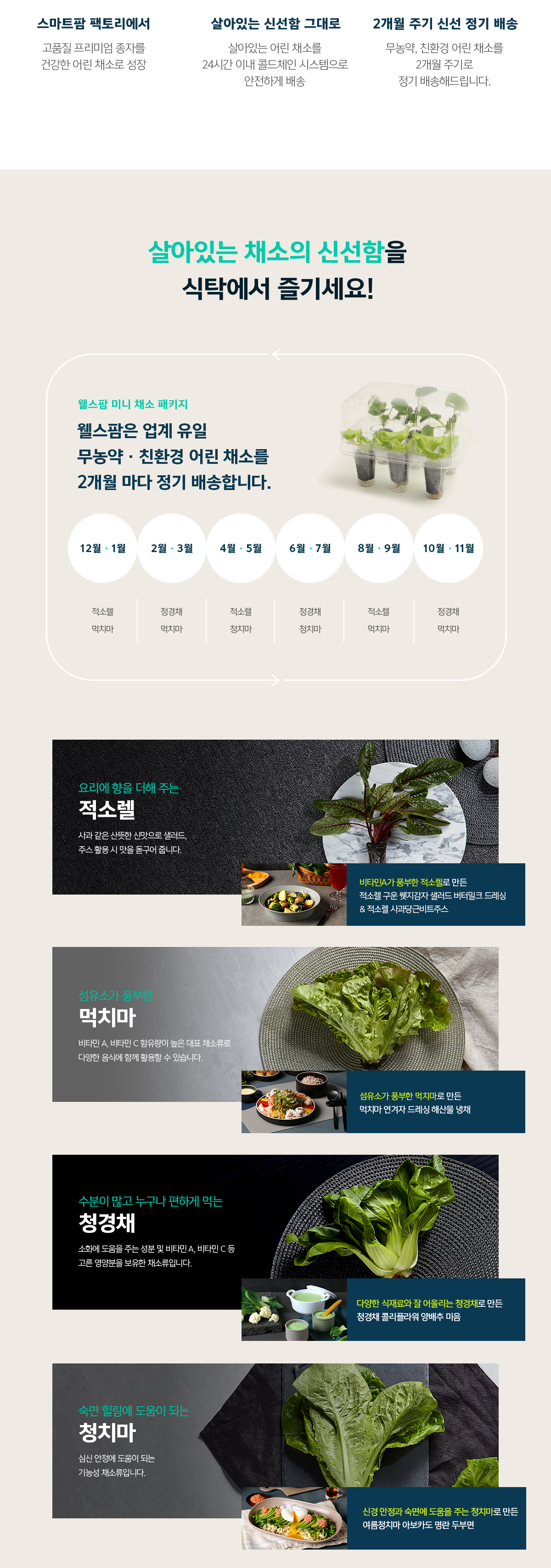 웰스 웰스팜 미니 채소 패키지 (2개월 방문관리) 이미지 4