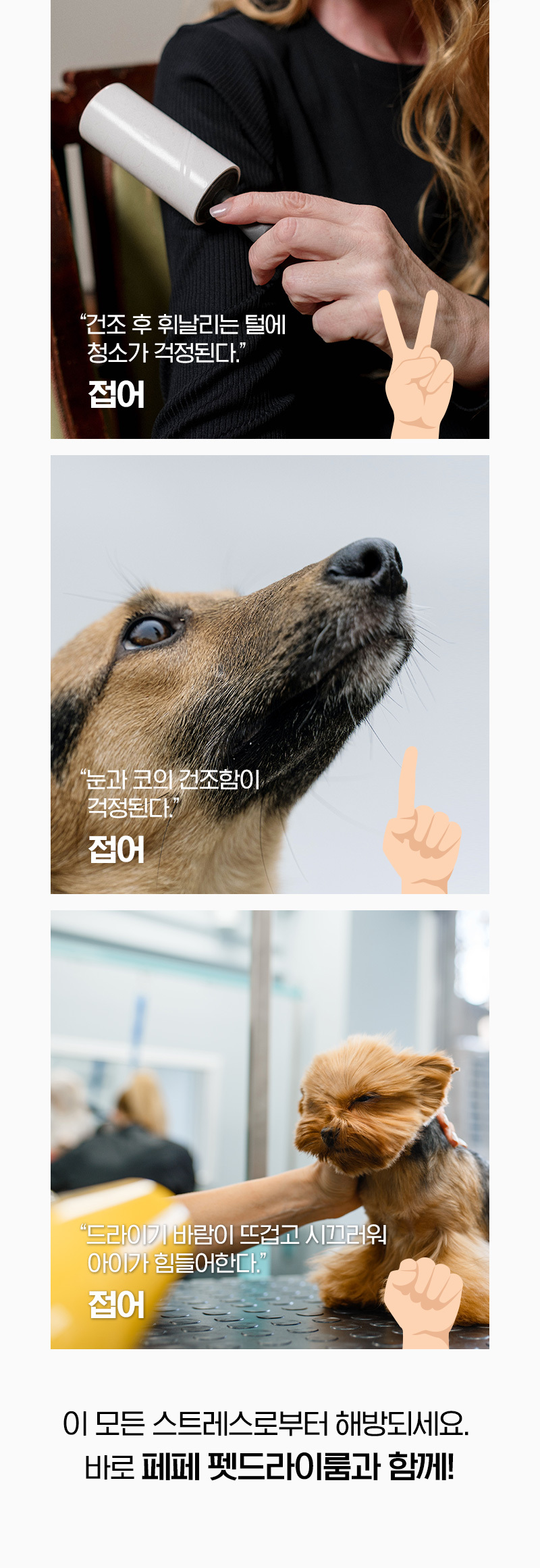 페페 중형견용 펫드라이룸 DR-300 PRO 이미지 5