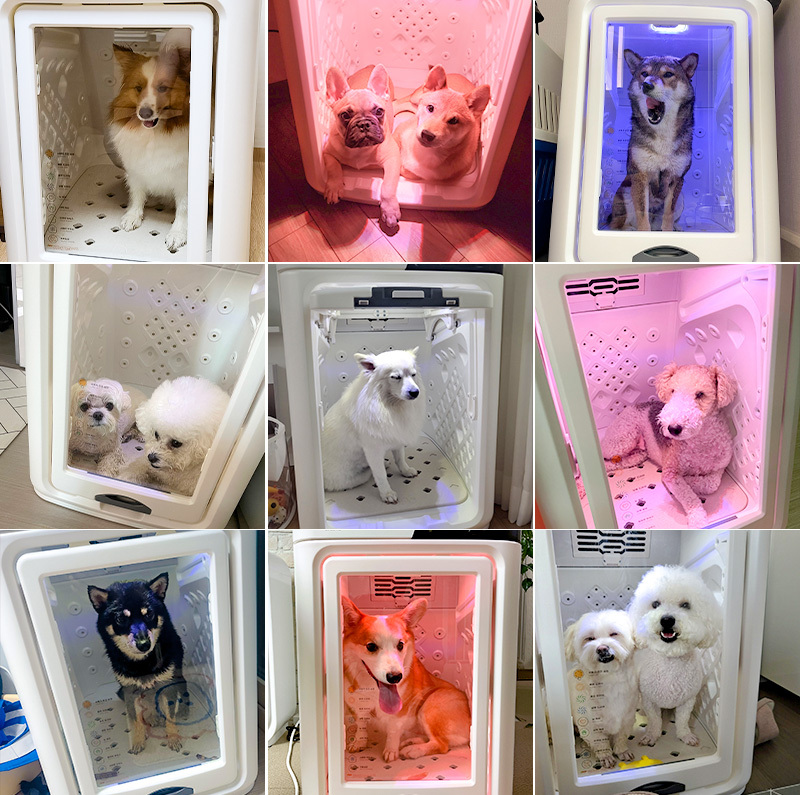 페페 중형견용 펫드라이룸 DR-300 PRO 이미지 7