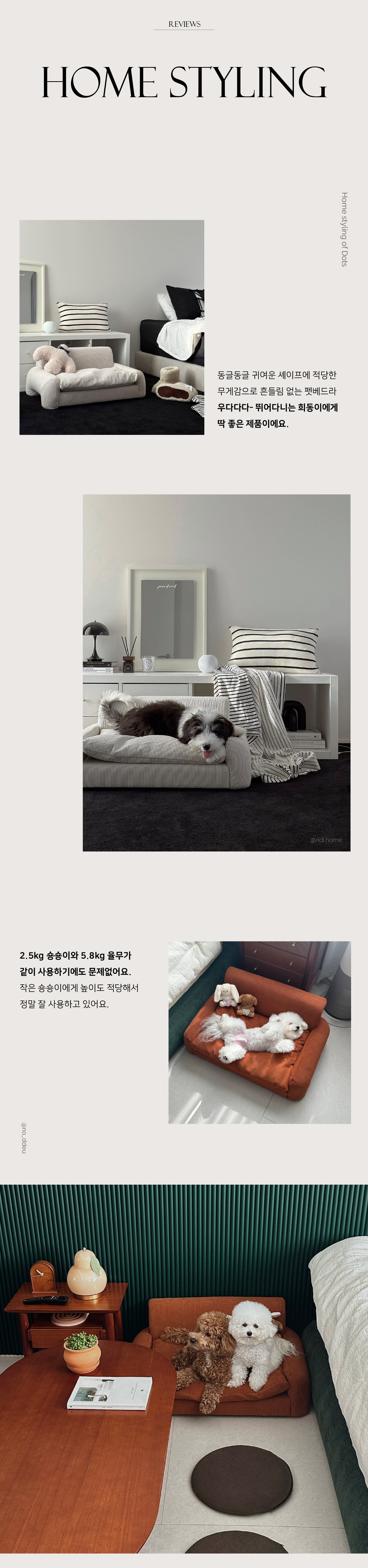 스윙도츠 로그마르탱 (샌드 아이보리) 이미지 3