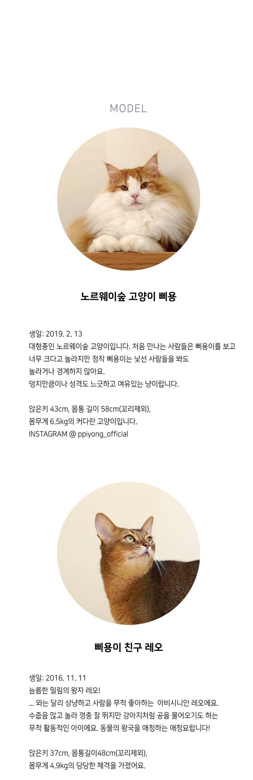 삐용 스틸 미러 캣타워 이미지 10