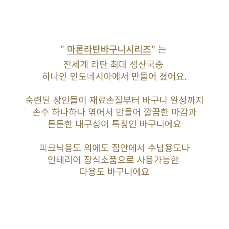 마이제너럴스토어 마론바스켓 대형 손잡이 사각 라틴 피크닉 라탄바구니 이미지 4